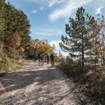 passeggiata da castello di Beviglie al Borgo di Mora